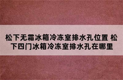 松下无霜冰箱冷冻室排水孔位置 松下四门冰箱冷冻室排水孔在哪里